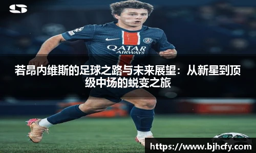 彩神VI首页